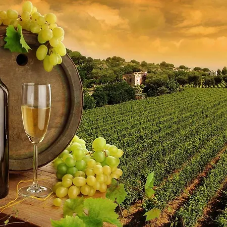 Casitas De La Sierra Villa